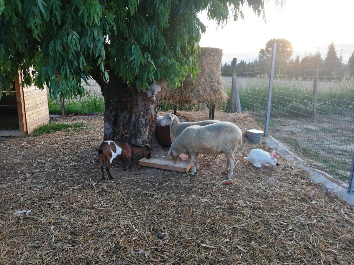 Agriturismo Terralieta Roseto Degli Abruzzi Buitenkant foto