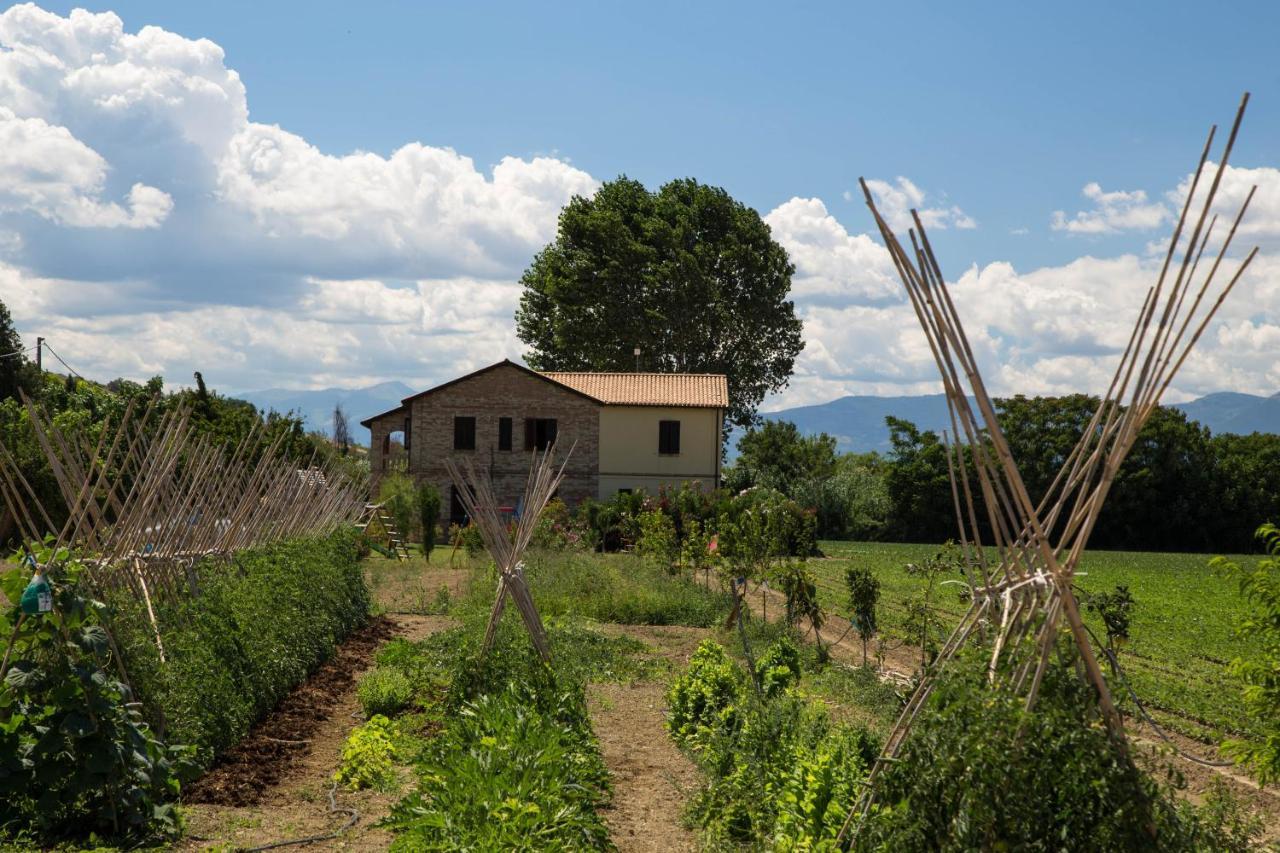 Agriturismo Terralieta Roseto Degli Abruzzi Buitenkant foto