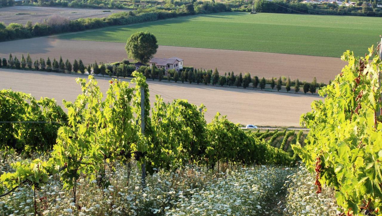 Agriturismo Terralieta Roseto Degli Abruzzi Buitenkant foto