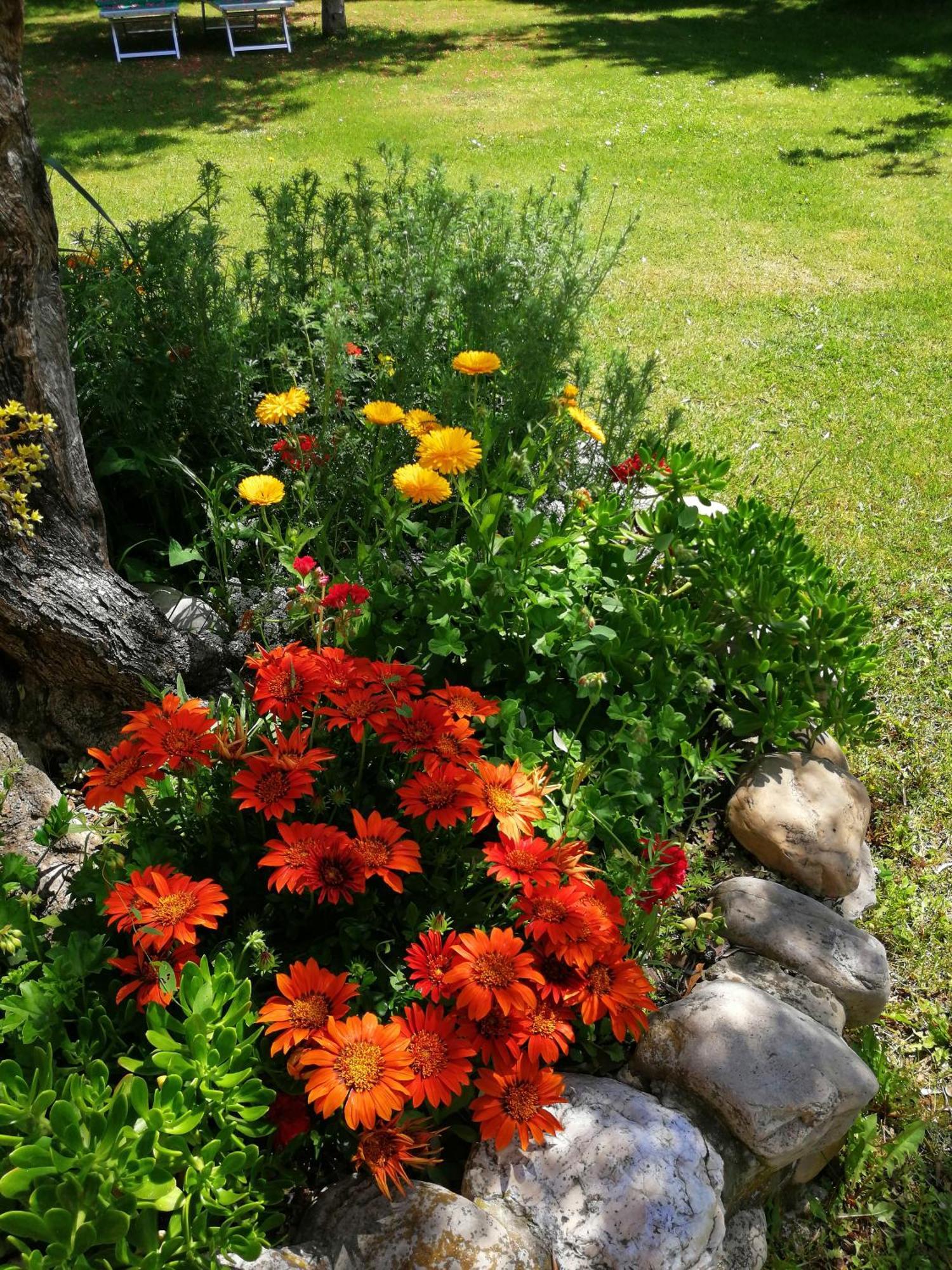 Agriturismo Terralieta Roseto Degli Abruzzi Buitenkant foto